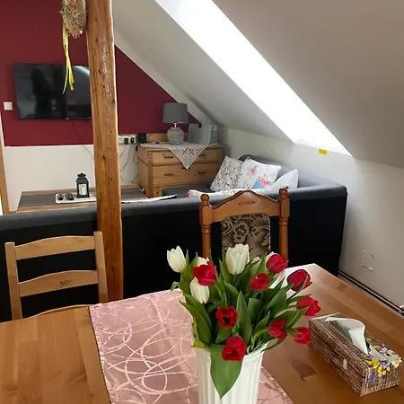 Apartment Lucie Karlovice (Liberec)